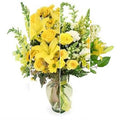 Designer’s Choice Yellows