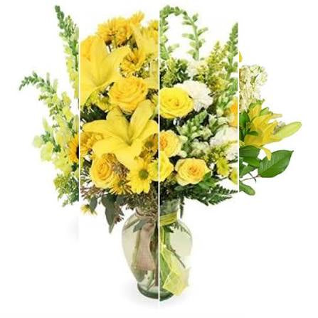 Designer’s Choice Yellows