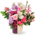 Designer’s Choice Pinks