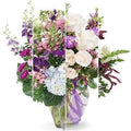 Designer’s Choice Purples