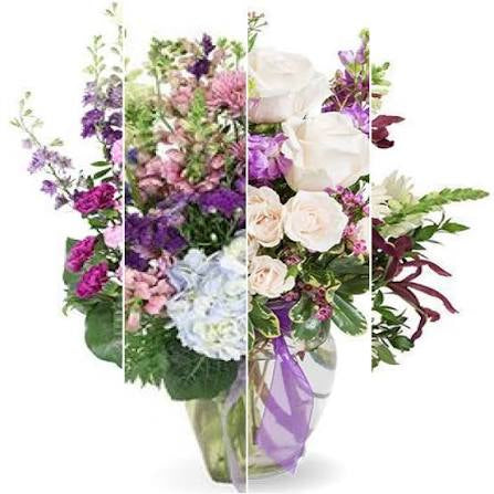 Designer’s Choice Purples