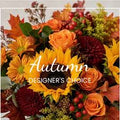 Designer’s Choice Autumn