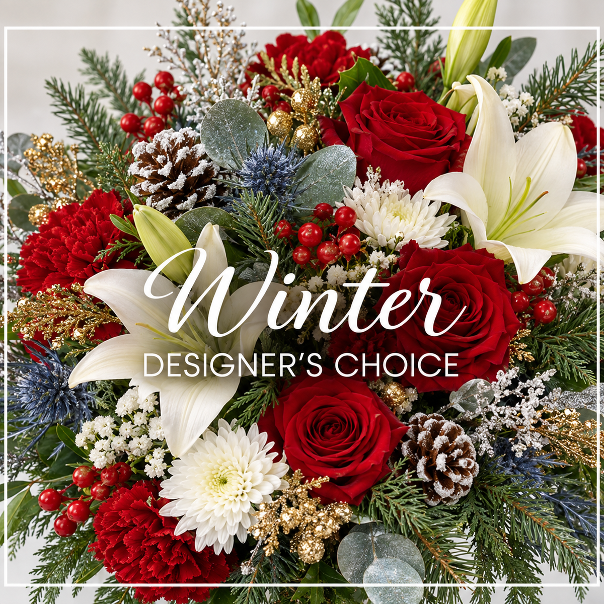 Designer’s Choice Winter