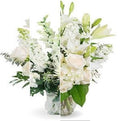 Designers Choice All White